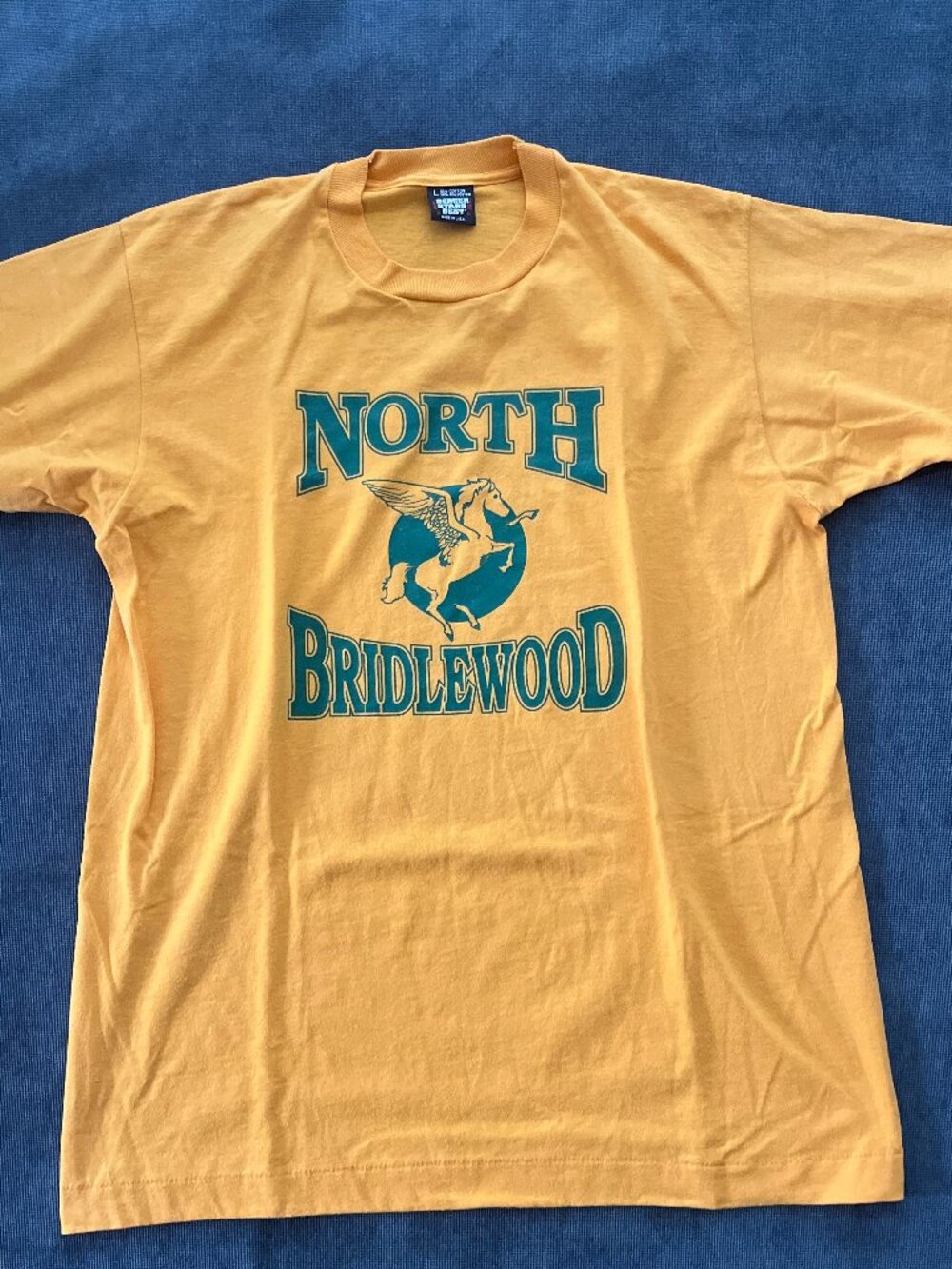 Screen Stars North Bridlewood Vintage T (L)